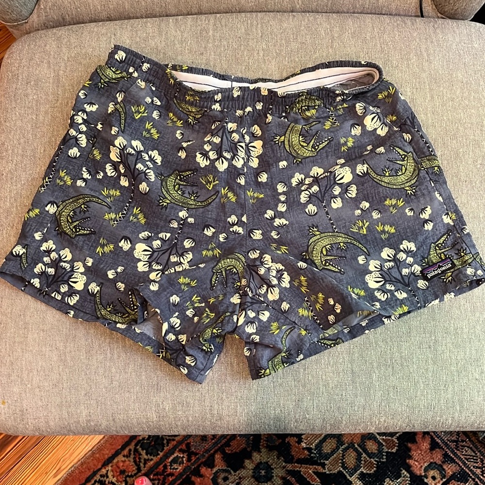 Patagonia baggies, small